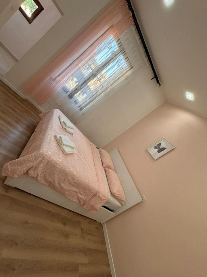 Galileo Pisa Bed & Breakfast Dış mekan fotoğraf